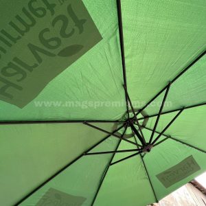 green parasol umbrella