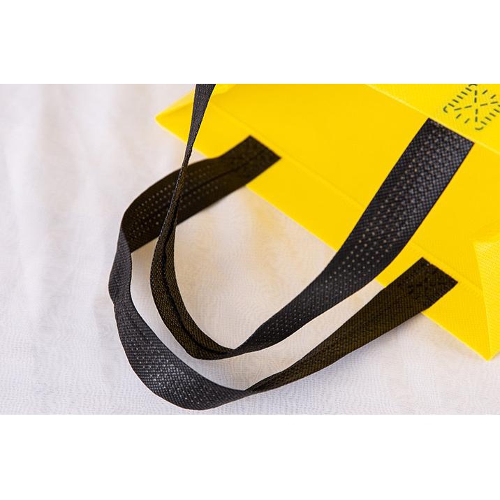 2 Tone Non Woven Bag