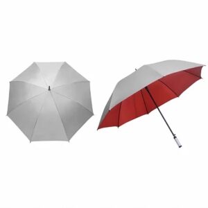 30-Inch Silver Auto Umbrella