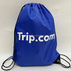 foldable Backpack