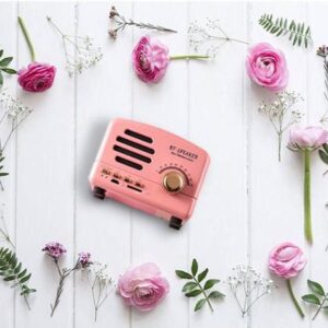 Mini Radio Printing
