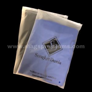 ziplock-packaging-bag-for-clothes-300x300