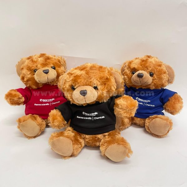 Custom teddy bear with personalized printing, perfect for corporate gifts, events, and promotional branding