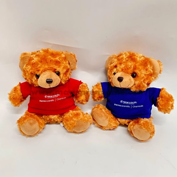 Personalized teddy bear for events and promotions – soft, adorable, and fully customizable