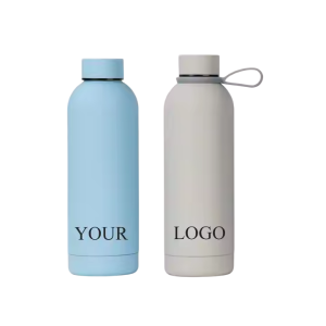 vacuum bottle with handle